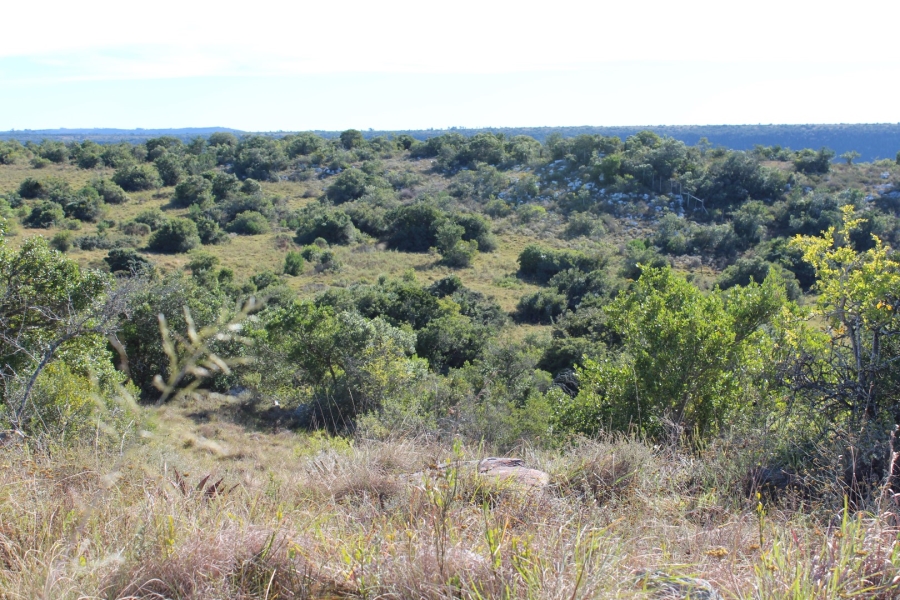 1 Bedroom Property for Sale in Bathurst Rural Eastern Cape